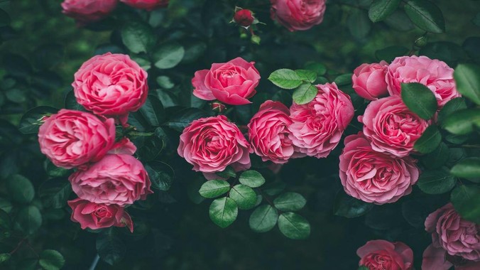 /detail/118547.html